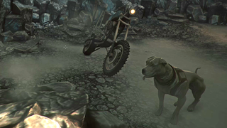 Bring Your Dog On A Quest To Save The World
